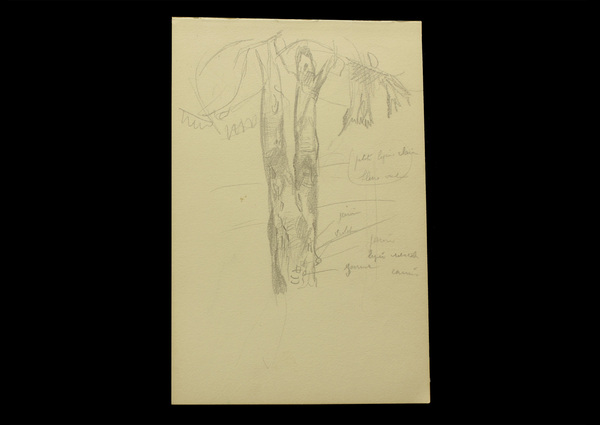 Tronc d'arbre