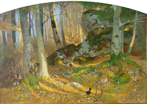 Sous-bois avec merle