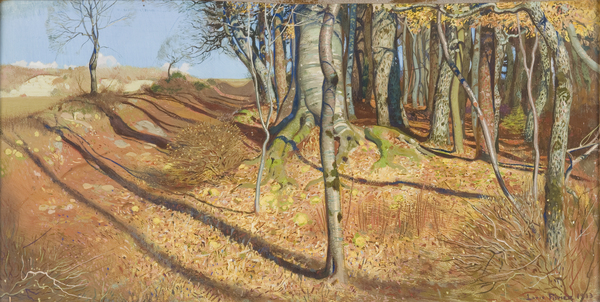 Sous-bois (Chemin du Stand)