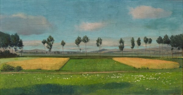 Peupliers (La plaine de l'Orbe)