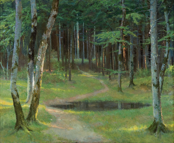 Sous-bois avec mare